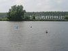 IMG_5939