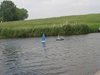 IMG_5914
