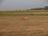 P9047501