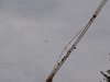 P9178409